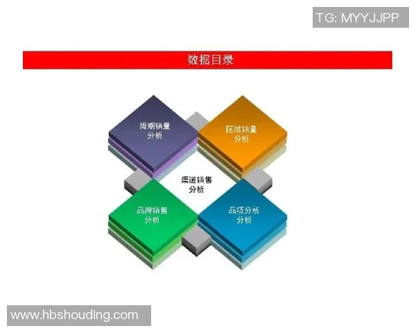 深入探讨上海飞盘队战术表现与数据分析的关系与启示